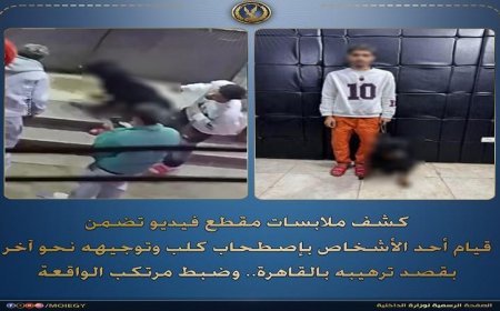 ضبط شخص يلقي بالرهبة على آخر بتوجيه كلبه نحوه في القاهرة