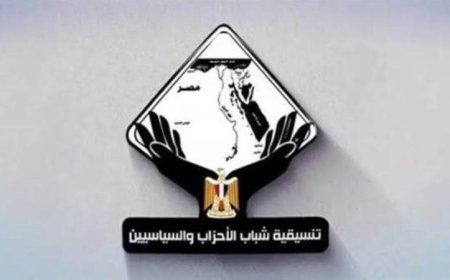 تنسيقية شباب الأحزاب تشيد بموقف البرلمان المصري من التطورات الإقليمية