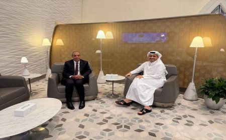 وزير الخارجية يناقش جهود الوساطة وخفض التصعيد خلال لقائه مع نظيره القطري في الدوحة