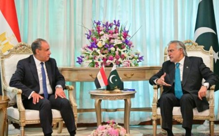 وزير خارجية مصر ووزير خارجية باكستان يجريان محادثات لتعزيز العلاقات الثنائية ومناقشة التطورات الإقليمية
