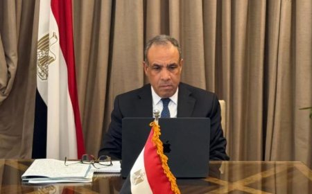 وزير الخارجية يؤكد أن سر قوة العالم العربي في توحده