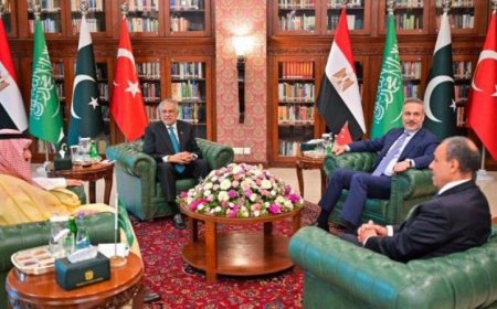 وزير الخارجية يناقش آخر مستجدات الأوضاع مع نظرائه من باكستان وتركيا والسعودية