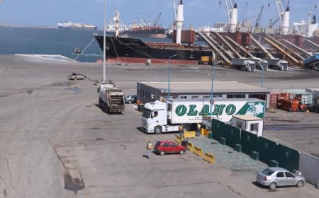 ميناء دمياط يطلق خدمة ترانزيت مبتكرة للشحن عبر خط الرورو لدول الخليج