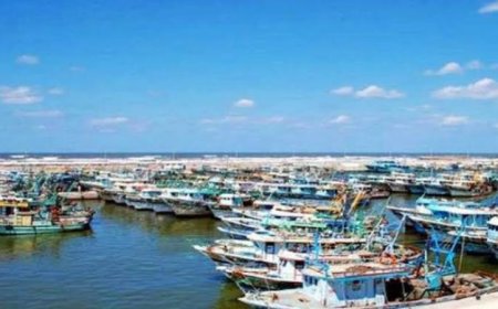 ميناء الصيد البحري ببرج البرلس يعمل بكامل طاقته لليوم الثالث على التوالي