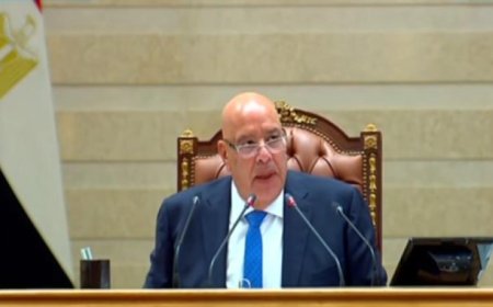 مجلس النواب يوافق على اتفاقيات دولية جديدة لتعزيز الاقتصاد وتحفيز التحول الرقمي