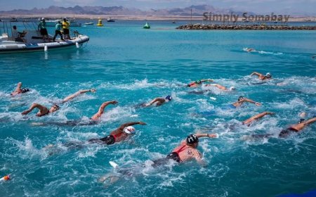 السياحة تدعم بطولتي كأس العالم للسباحة في المياه المفتوحة وكأس مصر للفروسية لتعزيز الرياضات المائية والفروسية