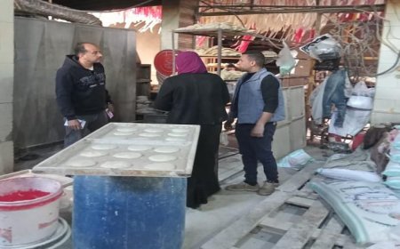 ضبط 37 شيكارة دقيق مريب وتحرير 22 محضر مخالفات في سرس الليان والباجور