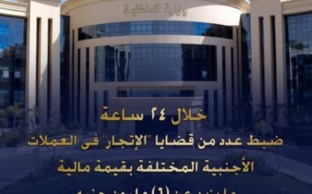 القبض على 6 ملايين جنيه في قضايا تهريب النقد الأجنبي خلال يوم واحد