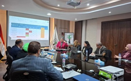 السنباطي تبحث مع معلومات الوزراء الاستراتيجية الوطنية لتطوير الطفولة المبكرة