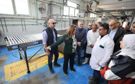 وزيرة التنمية المحلية تعلن عن إقالة مدير مديرية الطب البيطري في الإسكندرية