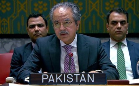 باكستان تطالب بتحقيق عاجل ونزيه في استشهاد عناصر قوات اليونيفيل في لبنان