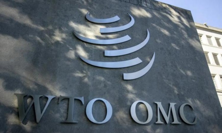 تحذير عالمي من منظمة التجارة العالمية تحتاج إلى إصلاح جذري في مرحلة حرجة