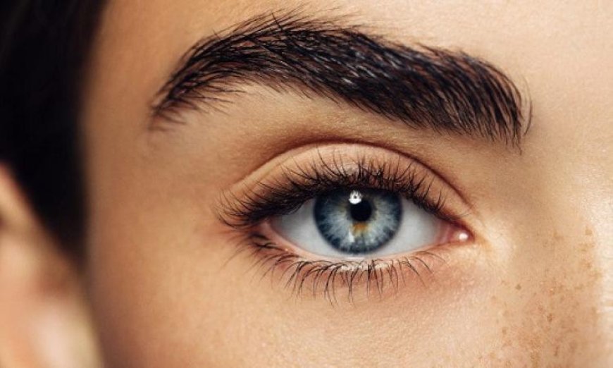 أربعة طرق سهلة وطبيعية لتكثيف الحواجب في المنزل