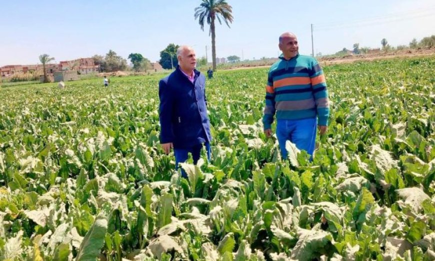 مديريات الزراعة تعزز المتابعة الميدانية لدعم المزارعين وتعزيز الحوكمة الزراعية