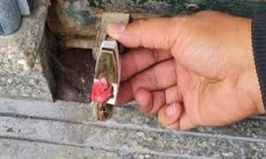 تحرير 113 مخالفة ضد المحلات المخالفة لقرار مجلس الوزراء بإغلاقها لتوفير استهلاك الكهرباء