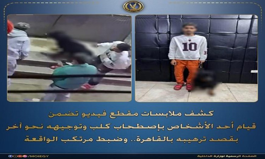 ضبط شخص يلقي بالرهبة على آخر بتوجيه كلبه نحوه في القاهرة