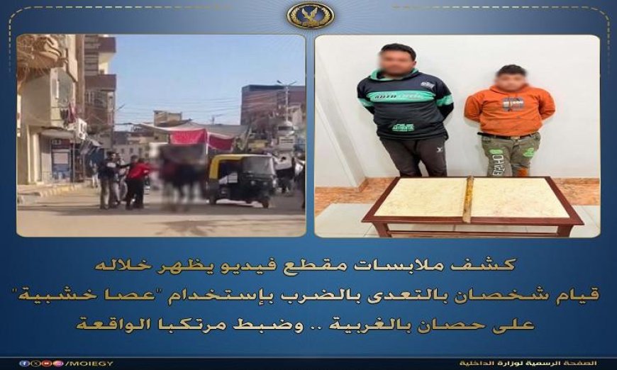 اعتقال عامل وابنه بتهمة الاعتداء على حصان باستخدام عصا خشبية في الغربية