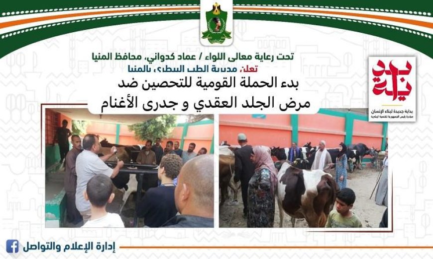 محافظ المنيا يطلق الحملة القومية لتحصين المواشي ضد الجلد العقدي وجدري الأغنام