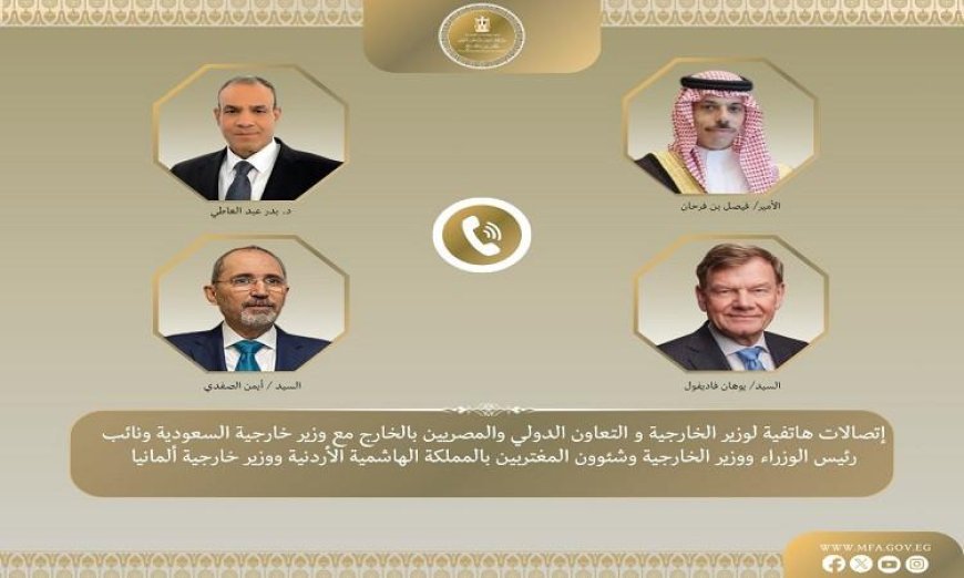 وزير الخارجية يناقش مع نظرائه الألمان والسعوديين والأردنيين سبل خفض التصعيد الإقليمي