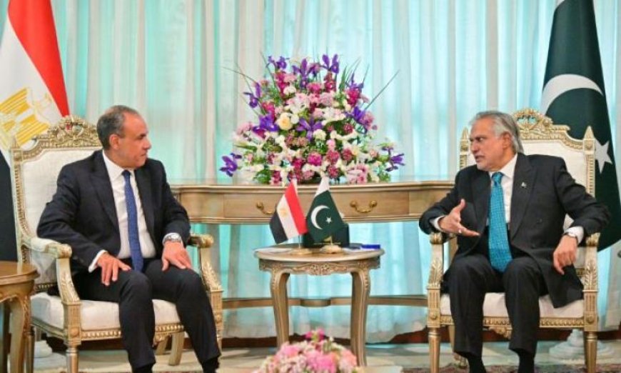 وزير خارجية مصر ووزير خارجية باكستان يجريان محادثات لتعزيز العلاقات الثنائية ومناقشة التطورات الإقليمية