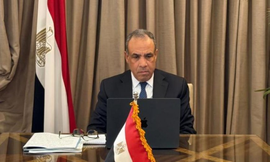 وزير الخارجية يؤكد أن سر قوة العالم العربي في توحده