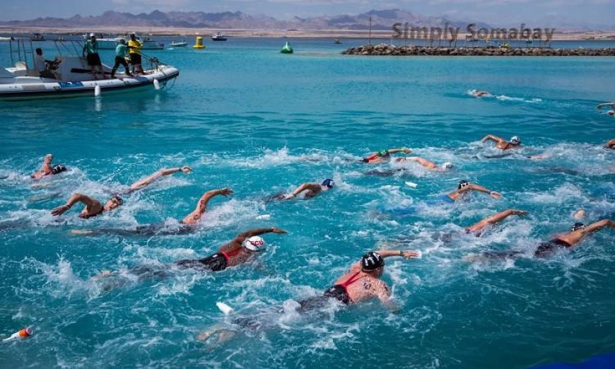 السياحة تدعم بطولتي كأس العالم للسباحة في المياه المفتوحة وكأس مصر للفروسية لتعزيز الرياضات المائية والفروسية