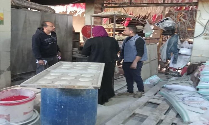 ضبط 37 شيكارة دقيق مريب وتحرير 22 محضر مخالفات في سرس الليان والباجور