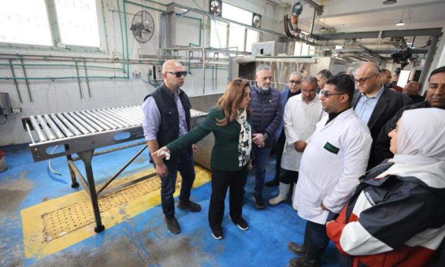 وزيرة التنمية المحلية تعلن عن إقالة مدير مديرية الطب البيطري في الإسكندرية
