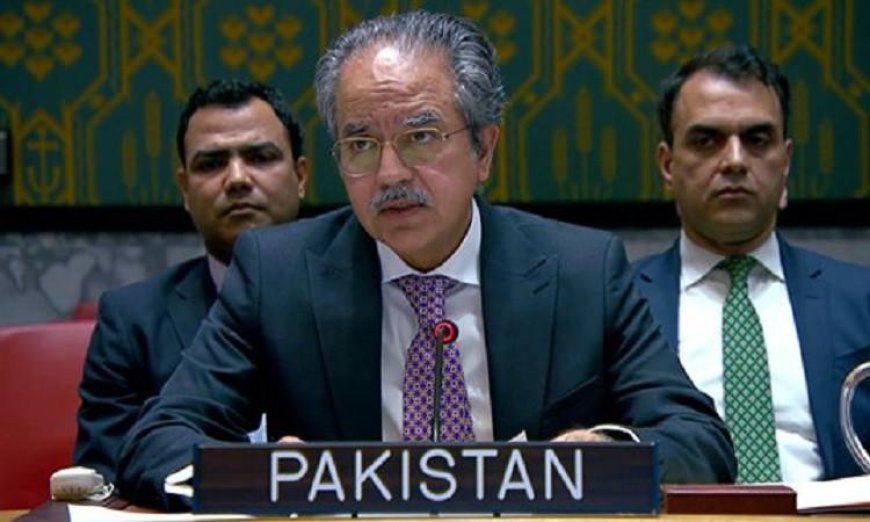 باكستان تطالب بتحقيق عاجل ونزيه في استشهاد عناصر قوات اليونيفيل في لبنان