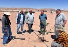 خبراء بحوث الصحراء يزورون تجمعات كاترين الزراعية لدعم المتضررين من الأزمات الزراعية