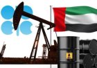 الإمارات تخرج من منظمة أوبك وأوبك+ بدءا من أول مايو 2024