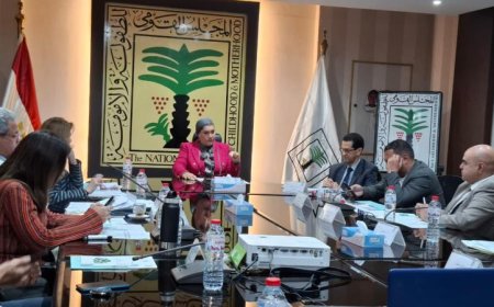 القومي للطفولة والأمومة يكشف عن جهوده الرامية لحماية الأطفال وتعزيز تمكين الفتيات في المجتمع