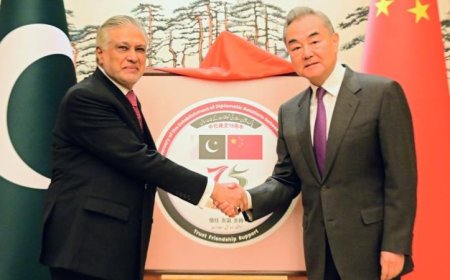 الصين تحث العالم على الانضمام لمبادرتها للسلام في الشرق الأوسط بالتعاون مع باكستان