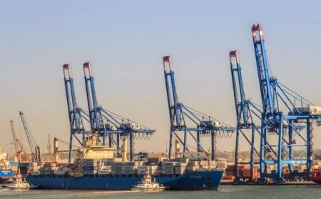 27 سفينة للحاويات والبضائع العامة تعبر ميناء دمياط بنجاح