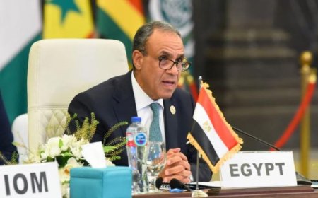 وزير الخارجية المصري يؤكد التزام مصر الراسخ بدعم تنفيذ الميثاق العالمي للهجرة
