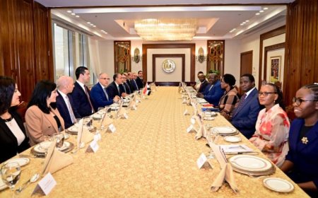 مشاورات رفيعة المستوى بين مصر وأوغندا لتعزيز التعاون الثنائي ودعم التنمية المستدامة