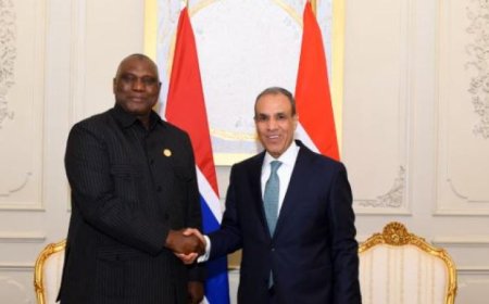 وزير الخارجية يناقش مع نظيره الجامبي سبل تعزيز التعاون الثنائي بين البلدين