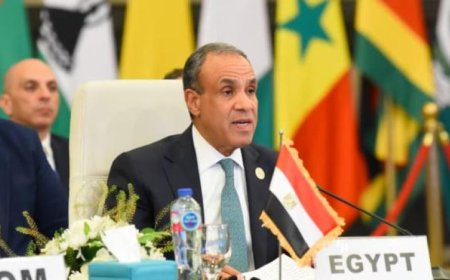 وزير الخارجية يؤكد استمرار الجهود المصرية الحثيثة لخفض التصعيد بكافة السبل