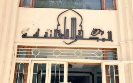 المجلس الأعلى للثقافة يكشف عن التشكيل الكامل للجانه النوعية وتعزيز دورها الثقافي