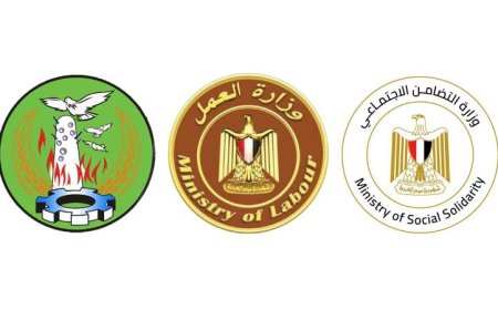 وزيران يقرران صرف 600 ألف جنيه لأسرة كل ضحية في حادث المنوفية المؤلم