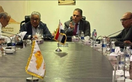 هيئة التنشيط ولجنة السياحة الخارجية تتCollaborate لمواجهة الأوضاع وتأمين قطاع السياحة