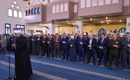 رئيس جامعة القاهرة يعلن عن خدمات استشارية لدعم التنمية المستدامة في محافظة الجيزة