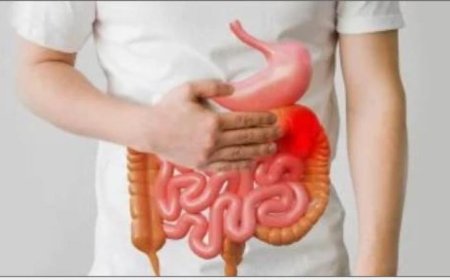 دراسة جديدة تكشف العلاقة بين الجهاز الهضمي وبداية التصلب المتعدد