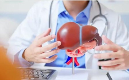 علماء روس يكشفون سر ضعف أورام الكبد من خلال نموذج خلوي ثلاثي الأبعاد