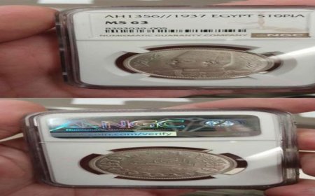 جمارك مطار الإسكندرية الدولي تنجح في إحباط تهريب عملات أثرية نادرة