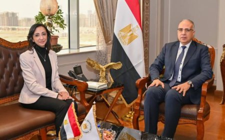 وزير الري ومحافظ البحيرة يناقشان أوضاع المنظومة المائية في المحافظة