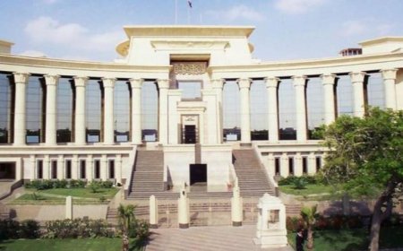 الدستورية تحظر التمييز بين الرجل والمرأة في الحصول على مزايا عند ترك الخدمة