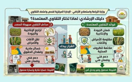 الزراعة تحذر المواطنين من شراء تقاوي مجهولة المصدر وتتوعد المروجين بالعقوبات الرادعة