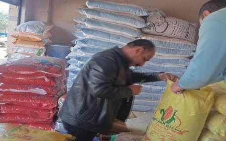 محافظ الغربية يعزز الرقابة التموينية ويكشف عن تحرير 46 مخالفة وضبط 37 شيكارة دقيق