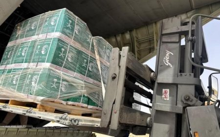 طائرة إغاثة سعودية رقم 83 تصل مطار العريش لتقديم الدعم والمساعدات للفلسطينيين في قطاع غزة